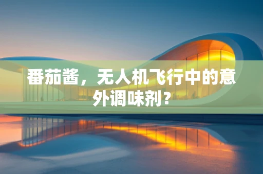 番茄酱，无人机飞行中的意外调味剂？
