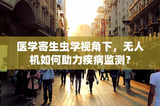 医学寄生虫学视角下，无人机如何助力疾病监测？