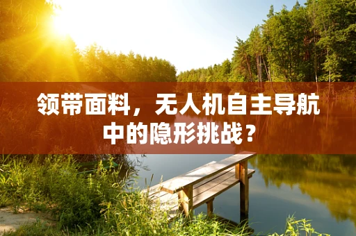 领带面料，无人机自主导航中的隐形挑战？