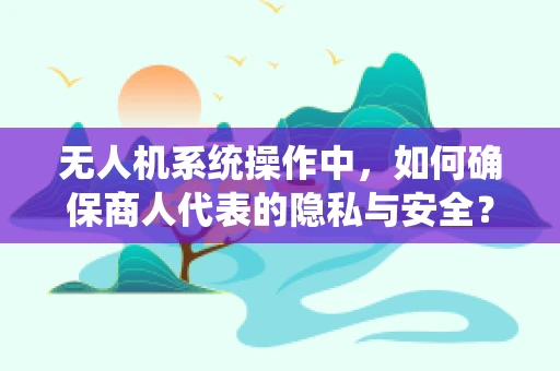 无人机系统操作中，如何确保商人代表的隐私与安全？