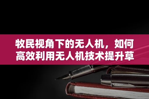 牧民视角下的无人机，如何高效利用无人机技术提升草原管理效率？