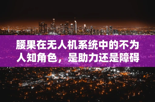 腰果在无人机系统中的不为人知角色，是助力还是障碍？