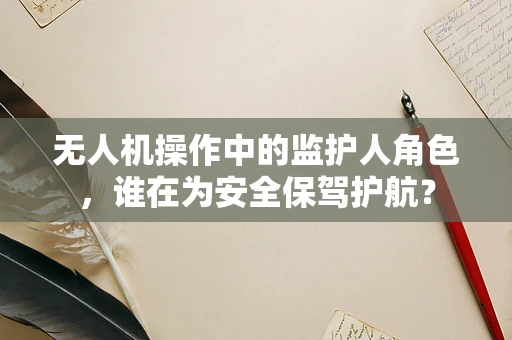 无人机操作中的监护人角色，谁在为安全保驾护航？