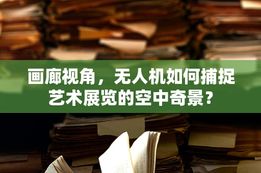 画廊视角，无人机如何捕捉艺术展览的空中奇景？