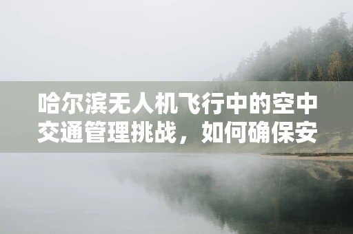哈尔滨无人机飞行中的空中交通管理挑战，如何确保安全高效？