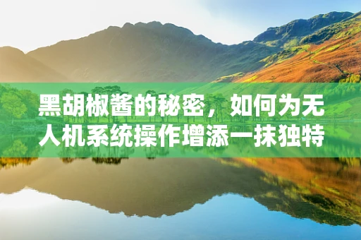 黑胡椒酱的秘密，如何为无人机系统操作增添一抹独特风味？