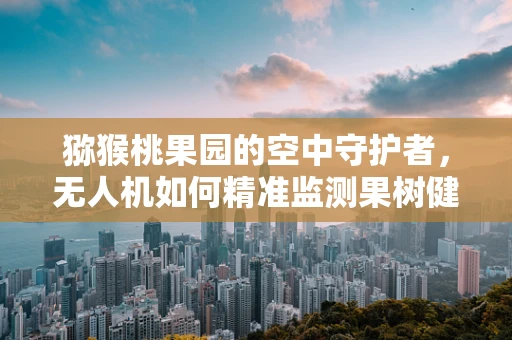 猕猴桃果园的空中守护者，无人机如何精准监测果树健康？