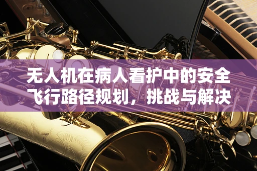 无人机在病人看护中的安全飞行路径规划，挑战与解决方案