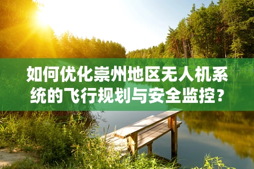 如何优化崇州地区无人机系统的飞行规划与安全监控？