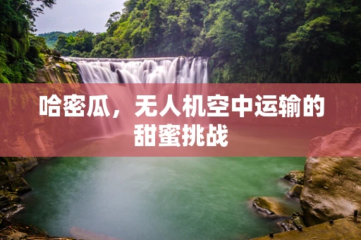 哈密瓜，无人机空中运输的甜蜜挑战