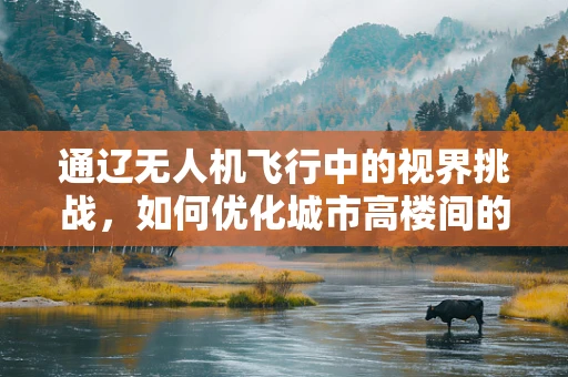 通辽无人机飞行中的视界挑战，如何优化城市高楼间的精准导航？