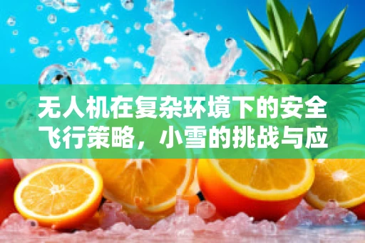 无人机在复杂环境下的安全飞行策略，小雪的挑战与应对