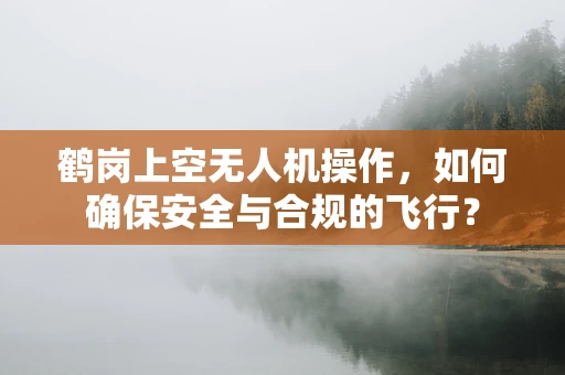 鹤岗上空无人机操作，如何确保安全与合规的飞行？