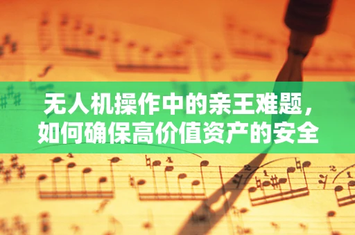 无人机操作中的亲王难题，如何确保高价值资产的安全飞行？
