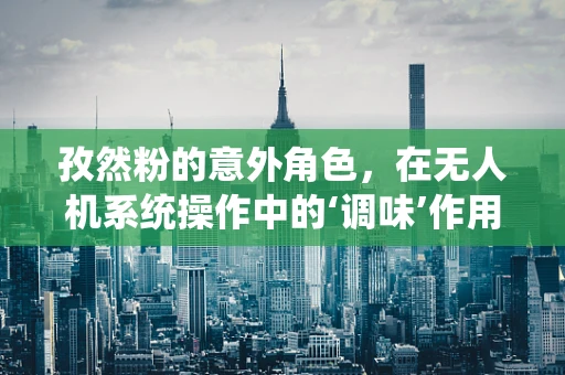 孜然粉的意外角色，在无人机系统操作中的‘调味’作用？