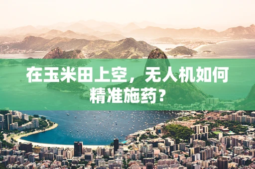 在玉米田上空，无人机如何精准施药？