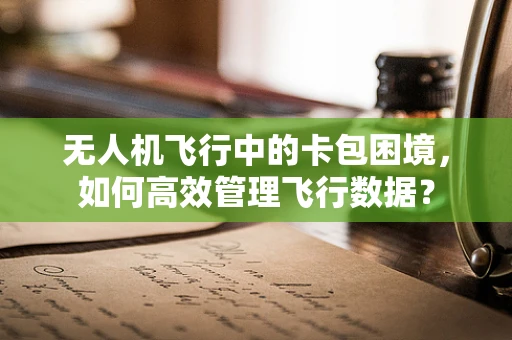 无人机飞行中的卡包困境，如何高效管理飞行数据？