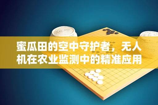 蜜瓜田的空中守护者，无人机在农业监测中的精准应用