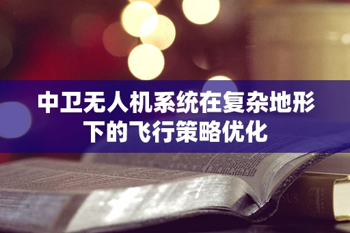 中卫无人机系统在复杂地形下的飞行策略优化