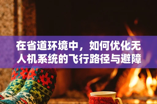 在省道环境中，如何优化无人机系统的飞行路径与避障策略？