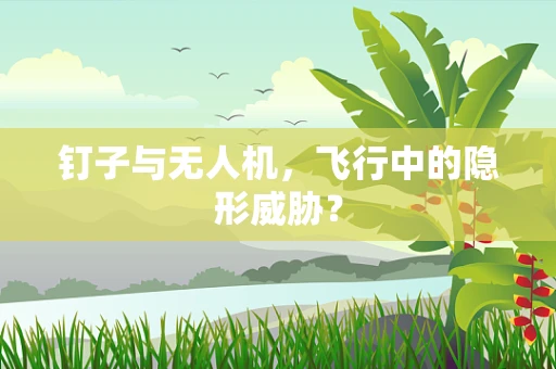 钉子与无人机，飞行中的隐形威胁？
