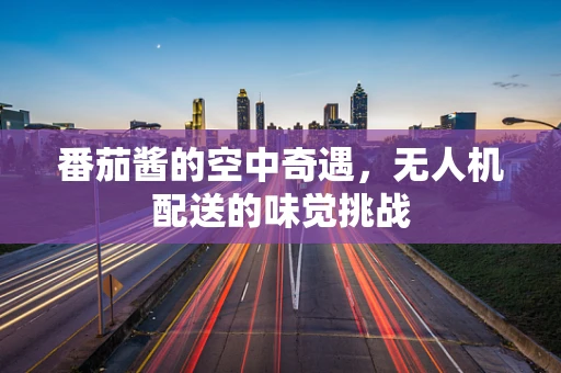 番茄酱的空中奇遇，无人机配送的味觉挑战