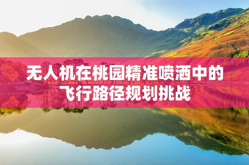 无人机在桃园精准喷洒中的飞行路径规划挑战
