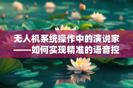 无人机系统操作中的演说家——如何实现精准的语音控制？