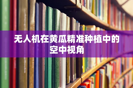 无人机在黄瓜精准种植中的空中视角