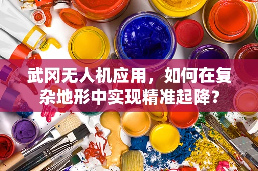 武冈无人机应用，如何在复杂地形中实现精准起降？