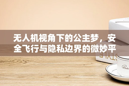 无人机视角下的公主梦，安全飞行与隐私边界的微妙平衡
