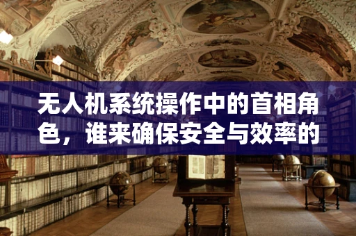 无人机系统操作中的首相角色，谁来确保安全与效率的平衡？