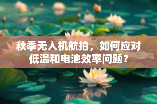 秋季无人机航拍，如何应对低温和电池效率问题？