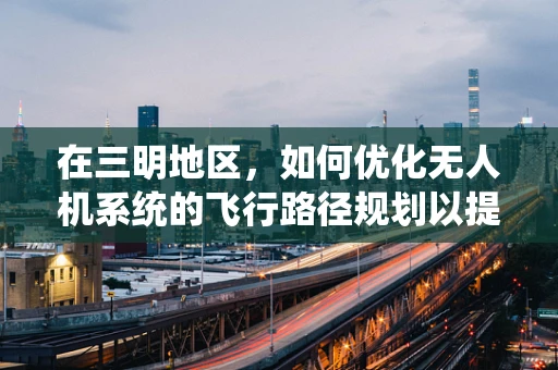在三明地区，如何优化无人机系统的飞行路径规划以提升作业效率？