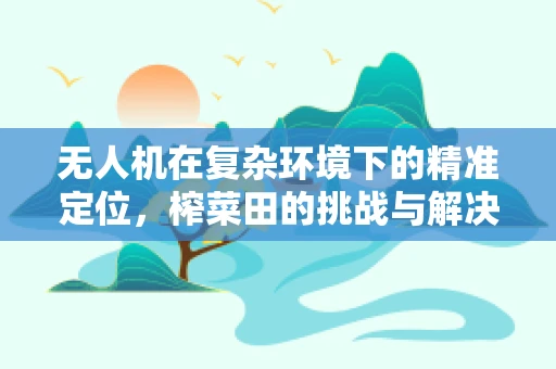 无人机在复杂环境下的精准定位，榨菜田的挑战与解决方案