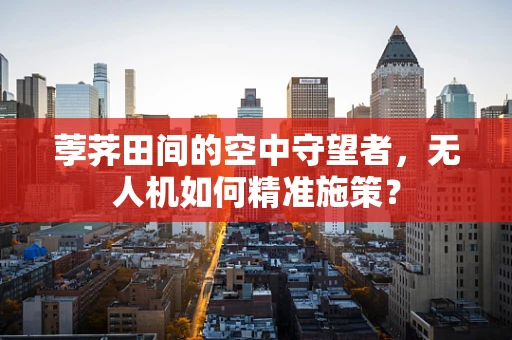 荸荠田间的空中守望者，无人机如何精准施策？