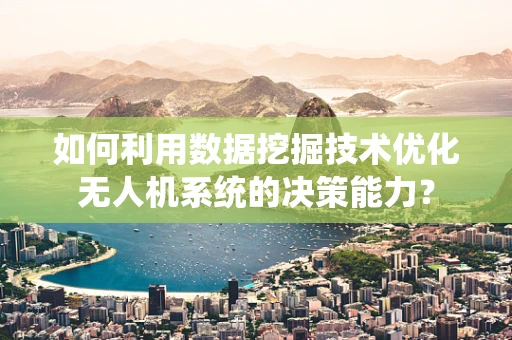 如何利用数据挖掘技术优化无人机系统的决策能力？