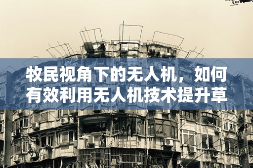 牧民视角下的无人机，如何有效利用无人机技术提升草原管理效率？