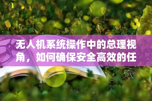 无人机系统操作中的总理视角，如何确保安全高效的任务执行？