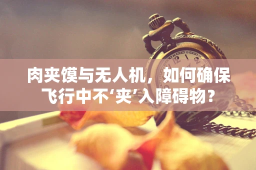 肉夹馍与无人机，如何确保飞行中不‘夹’入障碍物？