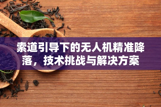 索道引导下的无人机精准降落，技术挑战与解决方案