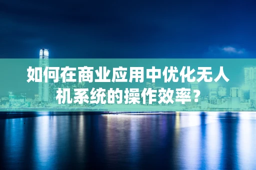 如何在商业应用中优化无人机系统的操作效率？