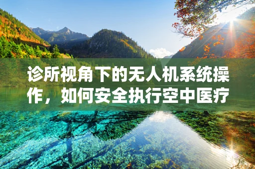 诊所视角下的无人机系统操作，如何安全执行空中医疗物资配送？