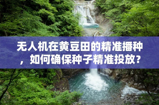 无人机在黄豆田的精准播种，如何确保种子精准投放？