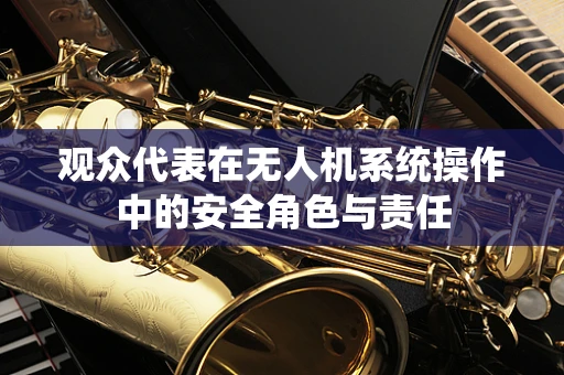 观众代表在无人机系统操作中的安全角色与责任