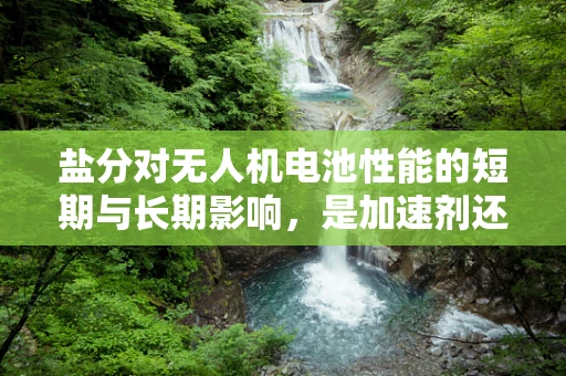 盐分对无人机电池性能的短期与长期影响，是加速剂还是保护伞？
