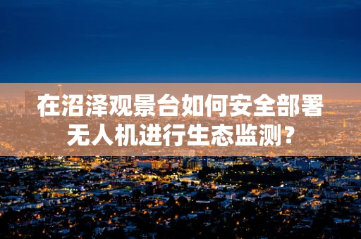 在沼泽观景台如何安全部署无人机进行生态监测？