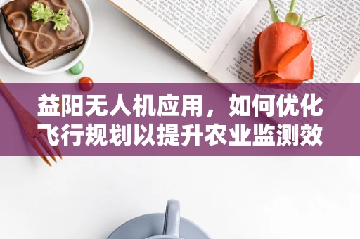 益阳无人机应用，如何优化飞行规划以提升农业监测效率？