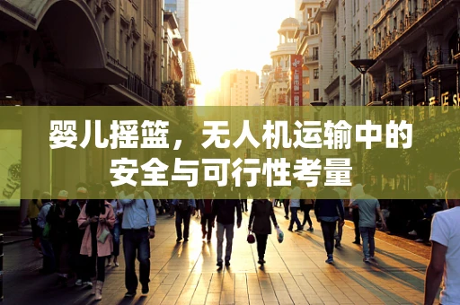 婴儿摇篮，无人机运输中的安全与可行性考量