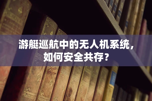游艇巡航中的无人机系统，如何安全共存？